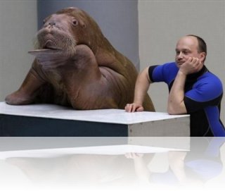 selection_46_000.jpg